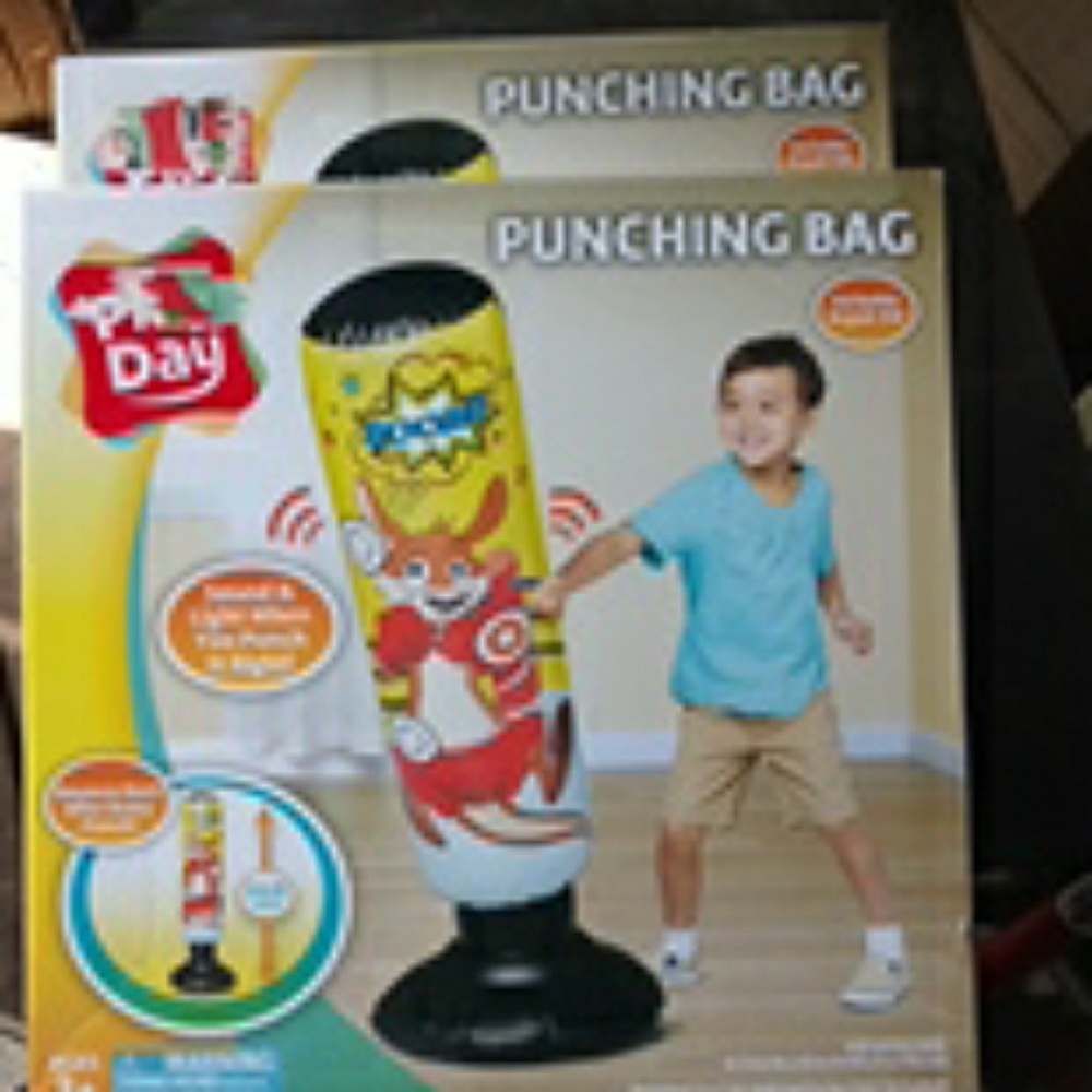 2 Kids punching bag